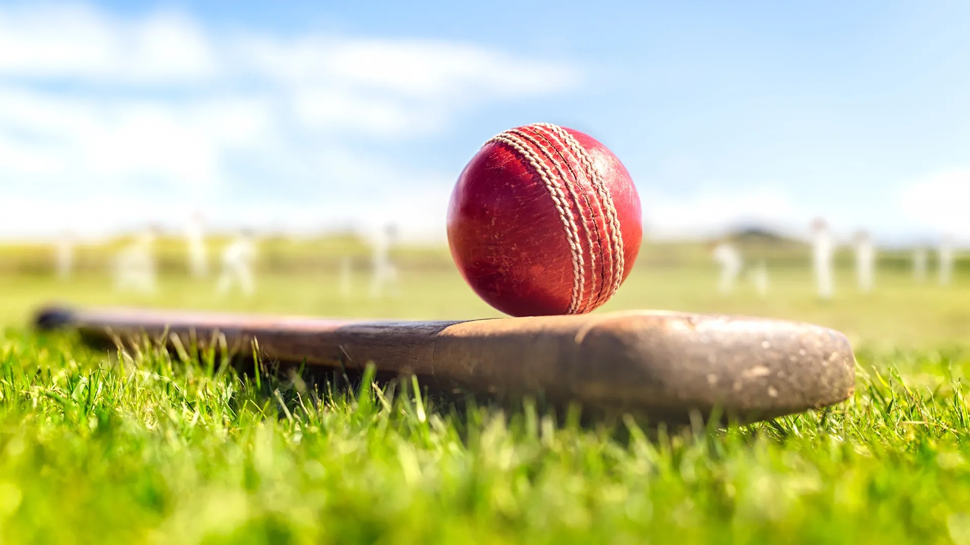 Oil Rises as Investors Look Past Possible Reserve Releases